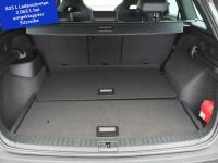 Skoda Kodiaq - Vorschau Bild 15