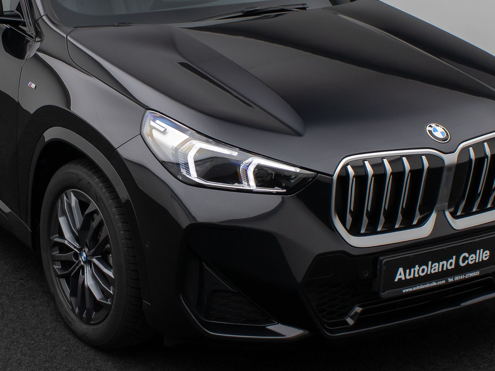 Fahrzeugabbildung BMW X1 xD23d M Sport Panorama Kamera DAB H/K Komfort
