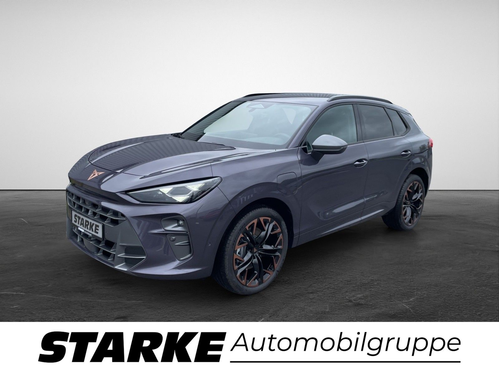 Cupra Terramar 1.5 e-Hybrid DSG  HeadUp Navi LED Kamer imagem 2