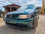 Volkswagen Polo 1.0 (XXL EDITION) - Volkswagen Polo aus 1997