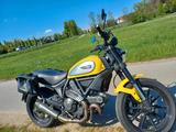 Ducati Scrambler icon 800 - Offers
