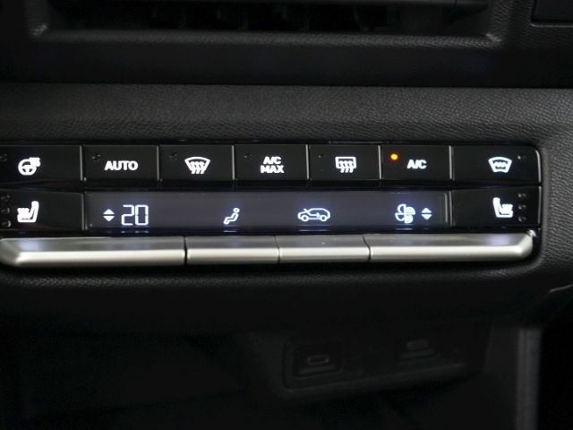 Frontera Electric C GS 44kWH AT+LED MATRIX+NAVI+