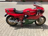 Ducati Mike Hailwood 1000R - DUCATI 1000