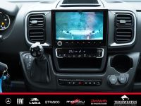 Autohaus Thorwesten Gebrauchtwagen