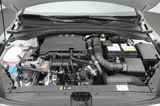Kia Ceed 1.0 T-GDI Edition 7 (EURO 6d) - Kia: Cee D Eu
