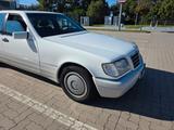 Mercedes-Benz S 280  Rost frei  klima elkt. Tüv Schiebedach - weiße Mercedes-Benz S 280