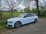 Audi A4 B8 3.0 3x Sline Competition Suzuka... - Audi A4: Sline