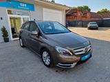 Mercedes-Benz B 180 CDI+Automatik+Kamera+Bi-Xenon