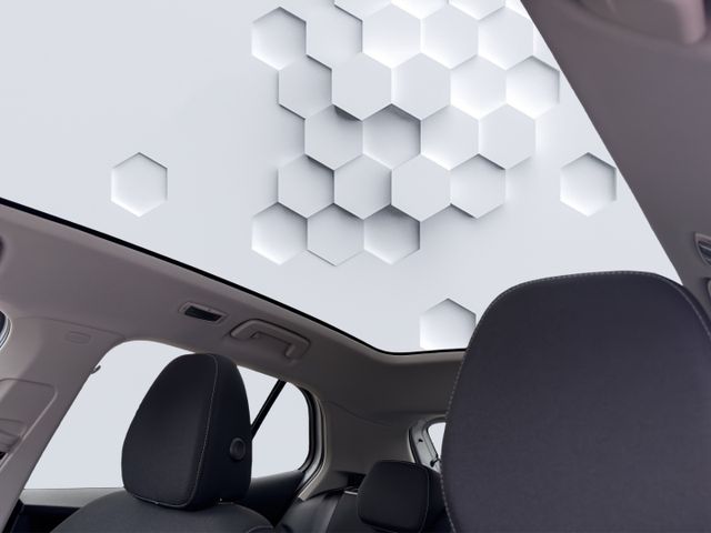 Fabia Selection 1.0TSI 85kw Automatik LED Rückfa