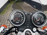 Triumph Sehr gepflegte Thunderbird 900 T 309 RT - TRIUMPH THUNDERBIRD 900