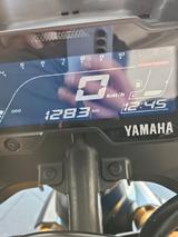 Yamaha YZFR 125 - SPORTLER VON 81 BIS 125 CCM
