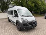 Bravia Swan 599 - Bravia Kastenwagen