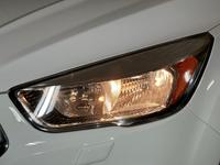 Ford Kuga Trend 1.5+Parkpilot+Winter-Paket+CD