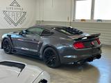 Ford Mustang 2.3 Ecoboost/ Shelby/ - Ford Mustang: Ecoboost