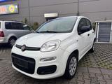 Fiat Panda Klima Euro 6 - gebrauchte Fiat Panda aus dem Jahr 2016