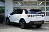 Land Rover Discovery Sport 2.0 TD4 Bi-Xenon Navi Kamera USB - : Pickup, Us