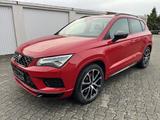Cupra Ateca 4Drive*Alle Inspek.*AHK*8-Fach*Bremskl.NEU - rote Cupra Ateca