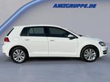 Volkswagen Golf VII 1.4 TSI Comfortline Massage+Xenon+Winte - Volkswagen Gebrauchtwagen in Chemnitz