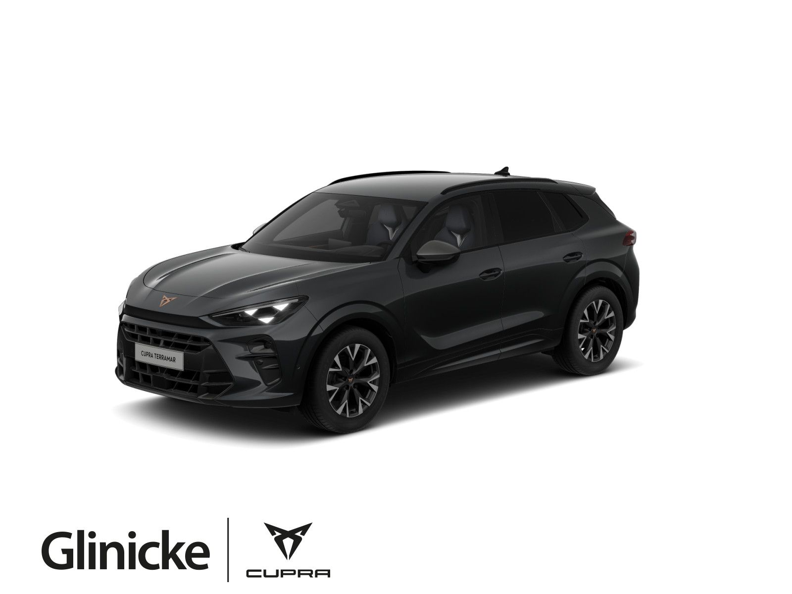 Cupra Terramar 1.5 eTSI 110 kW DSG Navi Sitzheizung