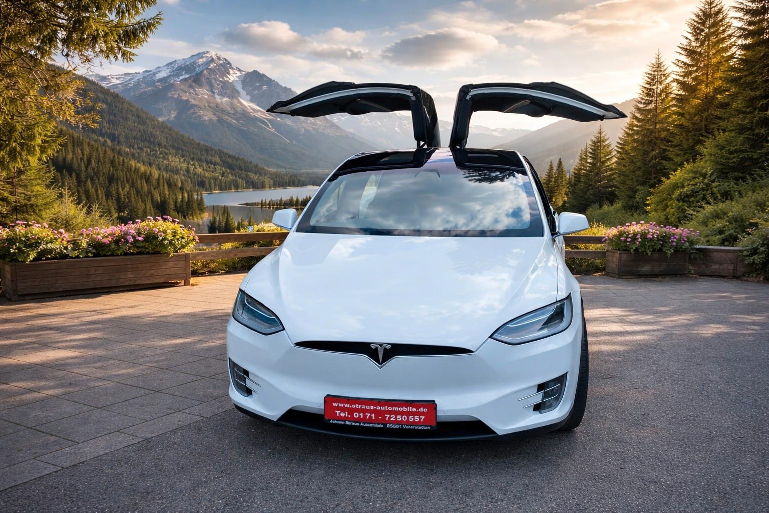 Tesla Model X 100 Performance/Dual /Ludicrous 6 Sitze
