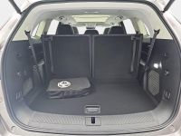 MG Andere - Vorschau Bild 15