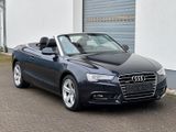Audi A5 Cabriolet 3.0 TFSI quattro S-tronic*TÜV neu - Audi A5: Cabrio, 3.0