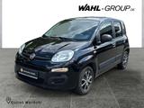 Fiat Panda 1.2 8V POP*GARANTIE*KLIMA*ALLWETTERREIFEN - Fiat Panda Gebrauchtwagen