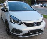 Honda Jazz 1.5 Hybrid Crosstar Advance - Honda Jazz Gebrauchtwagen in Rostock