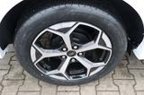 Ford Puma ST-Line 1.0 MHEV 360° Kamera 4,99% FIN - Ford Puma Neuwagen