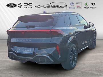 Cupra Terramar - 12