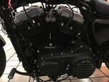 Harley-Davidson Sportster 1200X 48 Forty-Eight C - HARLEY-DAVIDSON SPORTSTER 1200 C