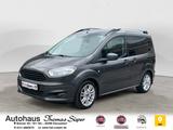 Ford Tourneo  Titanium PDC Frontscheiben- / Sitzhzg.