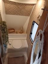 Fendt Bianco 495TFB - Fendt 495