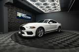 Ford Mustang Shelby GT 500 Coupe Performance PREMIUM - Ford: Shelby