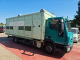 Iveco ML120 EL 22 P 12t Viehtransporter 2-Stock Menke - Iveco 120 e