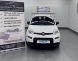 Fiat Panda Cross *DAB/KlimaA* - gebrauchte Fiat Panda aus dem Jahr 2023