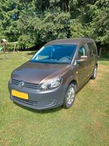 Volkswagen Caddy 1,6TDI 55kW BMT Startline 5-Sitze Star... - Volkswagen Caddy: Startline