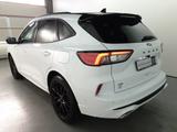 Ford Kuga 2.0 ST-LINE X AHK - Ford Kuga mit Diesel-Antrieb: Allradantrieb, Geländewagen, Automatik