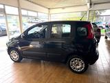 Fiat Panda Easy - Fiat Panda in Gelsenkirchen
