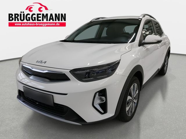 Kia STONIC 1.2 VISION MJ25 LED SITZH. NAVI