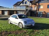 Volkswagen Beetle 1.2 TSI BMT - - Volkswagen Beetle in Wuppertal