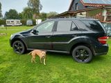 Mercedes-Benz ML 350 4MATIC - - Mercedes-Benz ML-Klasse mit LPG-Antrieb