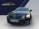 Skoda Octavia Combi Drive*SHZ*TEMP*PDC*NAVI*ALU*EFH* - Skoda Octavia: Combi Drive