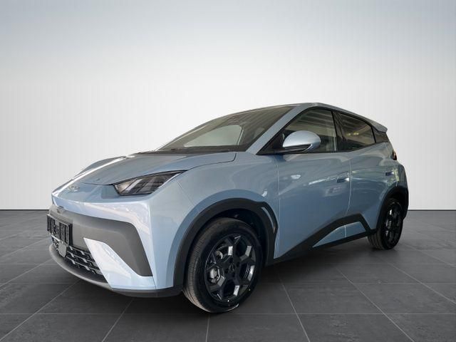Image of BYD DOLPHIN SURF