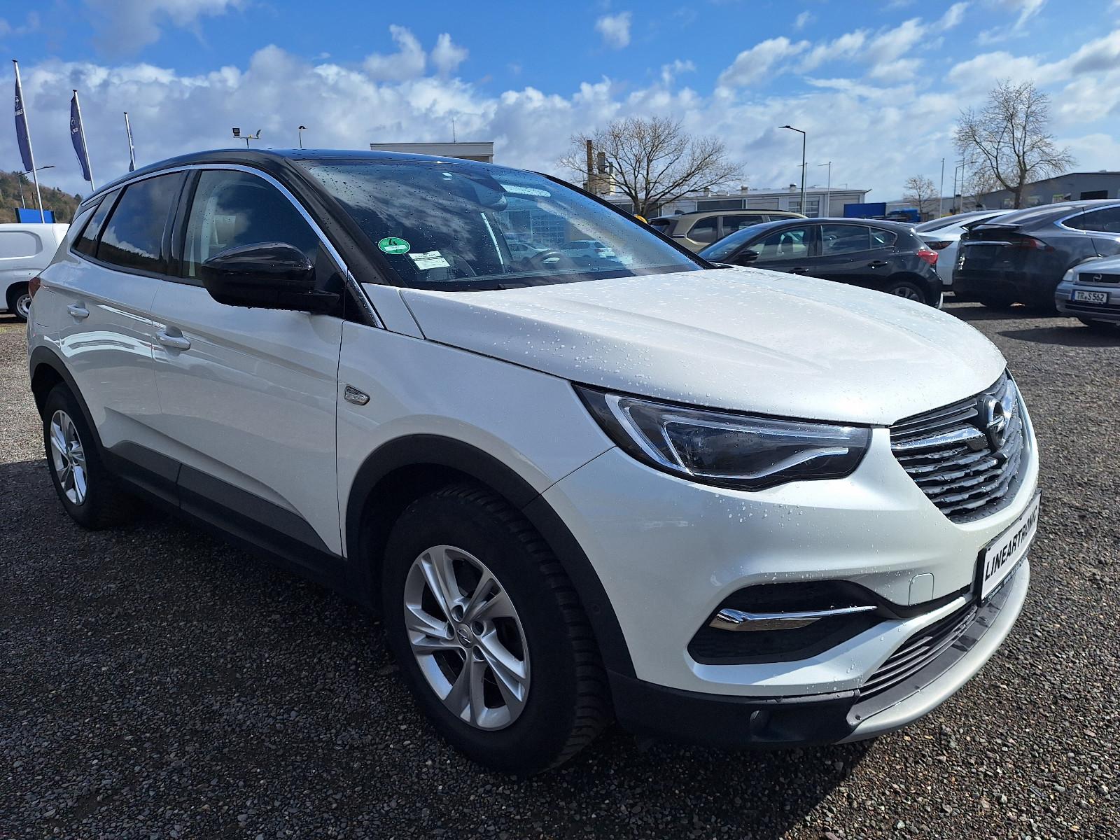 Opel Grandland X 2.0D Business Innovation 1.Hd EXTRAS