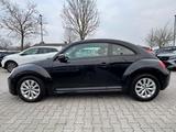 Volkswagen Beetle TSI 1.2 | SHZ | KLIMA - gebrauchte VW Beetle aus dem Jahr 2013