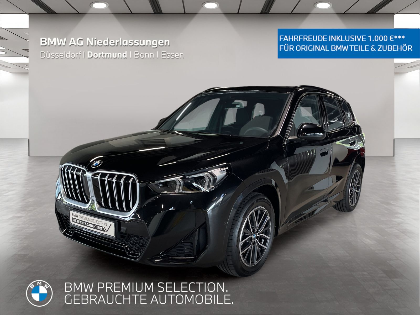 BMW X1 - Bild 1