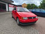 Volkswagen Polo 6n AUTOMATIK , TÜV neu - Volkswagen: Halbautomatik
