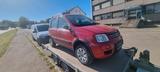 Fiat Panda 4x4  benziner - Fiat Panda Gebrauchtwagen in Stuttgart