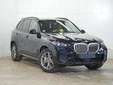 BMW X5 xDrive30d - BMW X5 Jahreswagen mit Diesel-Antrieb
